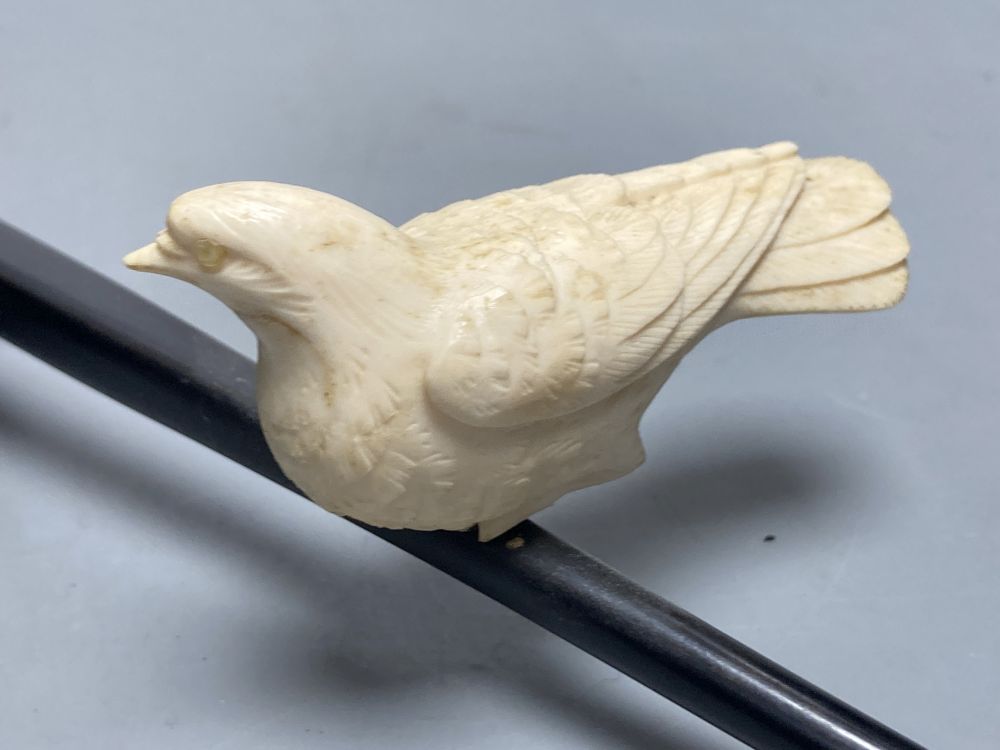A Japanese ivory group of two carved doves, resting on a hardwood perch, length 21cm